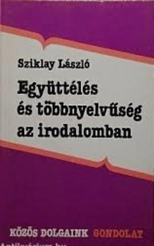 Együttélés és többnyelvűség az irodalomban. Közös dolgaink 