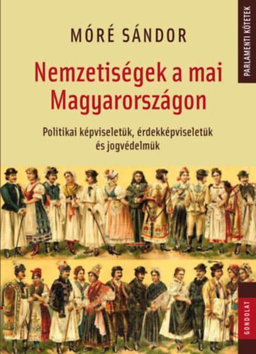Nemzetiségek a mai Magyarországon. Politikai képviseletük, érdekképviseletük és jogvédelmük